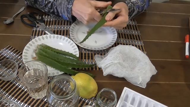 Алое Столетник Как приготовить сок с алое Маска для лица смотреть онлайн