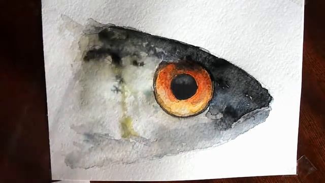 Drawing a fish eye (fish head) / рисуем рыбий глаз (рыбью голову) смотреть онлайн