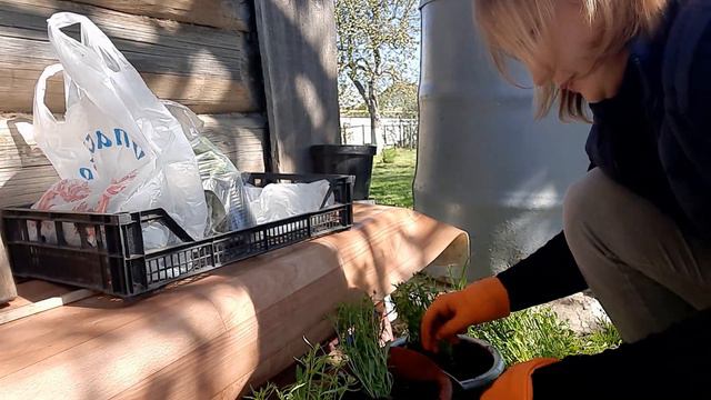 😱ВНОВЬ ПОПОЛНЕНИЕ. смотреть онлайн