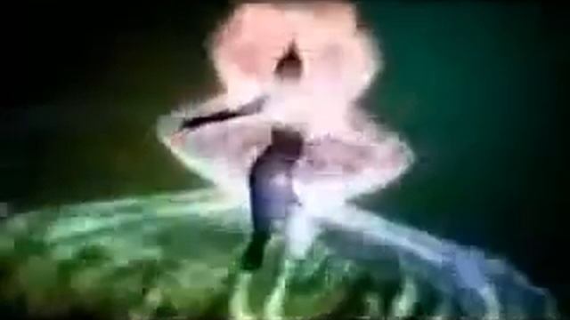 Black Eyed Peas - I Gotta Feeling Samba - RMX - Dj Silvao смотреть онлайн
