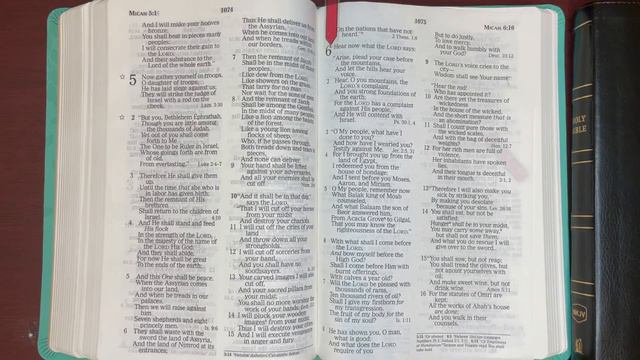 12/30/21, Psalm 119:153-176, Proverbs 30, Micah 6:1-7:20, Revelation13:1-18 Old & New Testament Rea смотреть онлайн