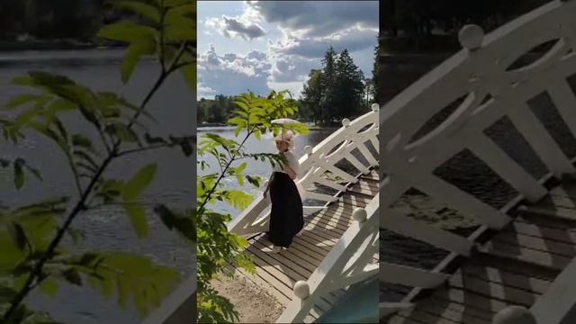 Дачные сезоны в Монрепо