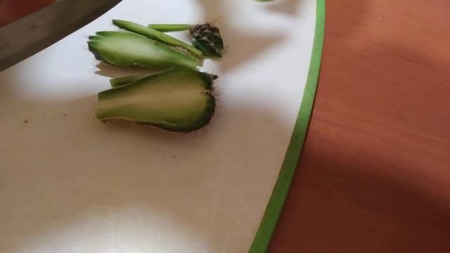 Что внутри Кактуса смотреть онлайн