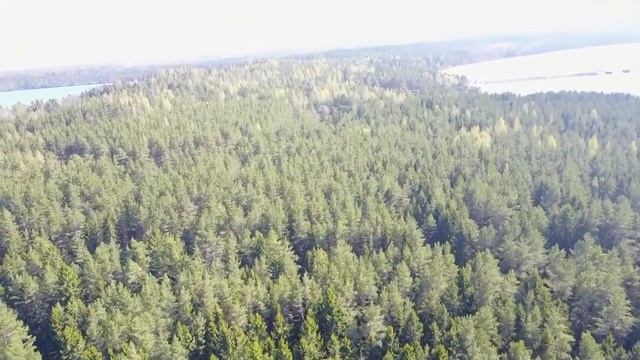 Mavic - Странное поведение, без падения. смотреть онлайн