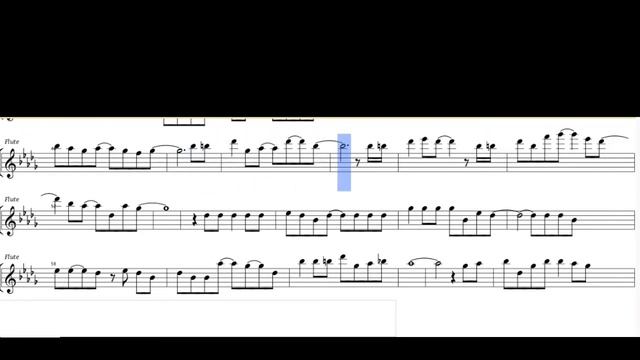 Meow Meow Song _arranged For FLUTE Play Along Video