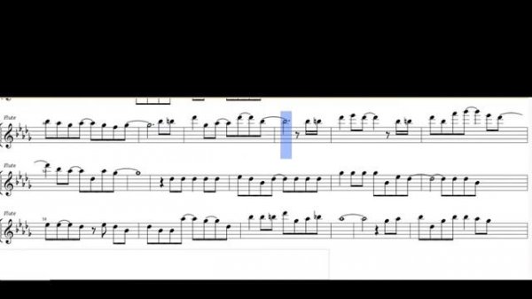 Meow meow song _arranged for FLUTE play along video