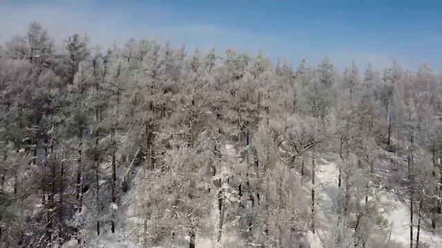 Саранакан 2024 смотреть онлайн