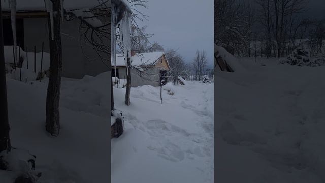 Зима, Что у нас сейчас происходит в деревне. Семья целителей из Минска смотреть онлайн