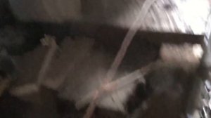 Меняем передние амортизаторы на VW Шаране, а болты сломались.