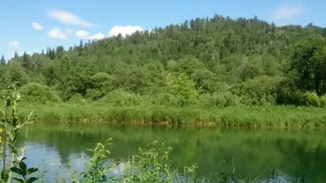 Миньяр красивая природа лета 2016 года смотреть онлайн