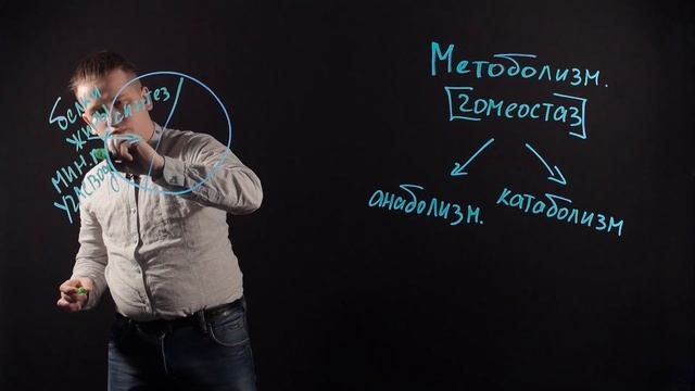 БИОЛОГИЯ 9 класс. Метаболизм смотреть онлайн