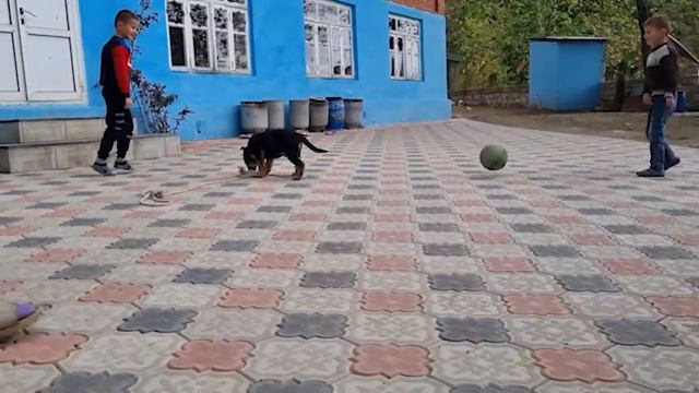 Бабушка испекла сладкий хлеб в честь праздника Азербайджанская Кухня Деревенская Кухня Рецепты смотреть онлайн