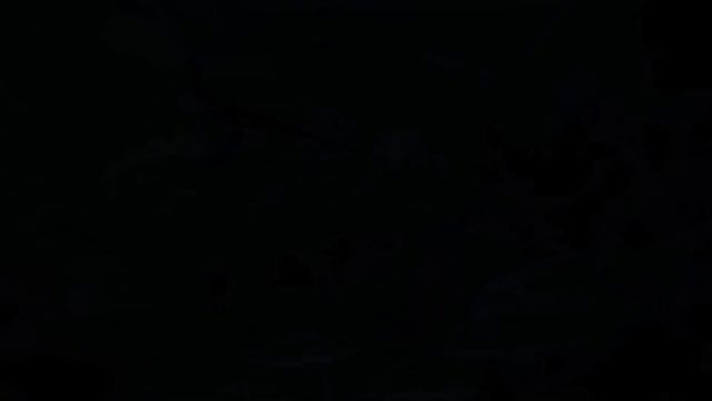 Aquarium 2hr Relax Music (NO MIDDLE ADS!)