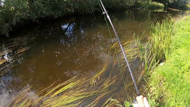 Рыболовные Видения