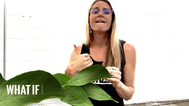 Announcing ANFT Immersion at Aspen Camp for the Deaf - June 2023 смотреть онлайн