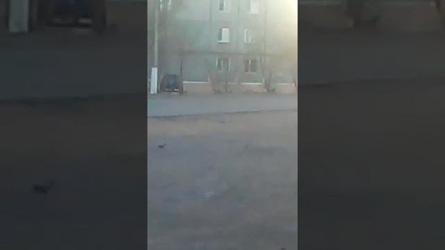 Новое развлечение детей г. Балхаш смотреть онлайн
