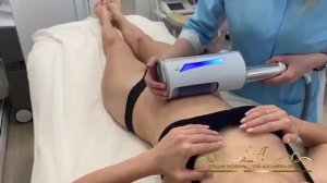 Эндосфера живота