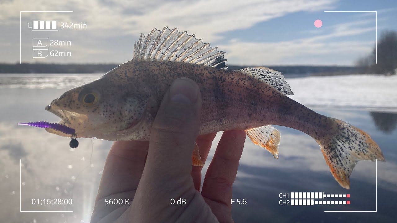 Микроджиг не профильной снастью смотреть онлайн