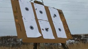 Обзор пулевых патронов  12 калибра для загонной охоты