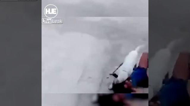В США собака напала на девочку и покусала её смотреть онлайн