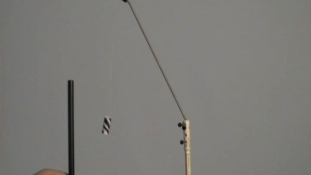 ВЗАИМОДЕЙСТВИЕ ДИЭЛЕКТРИКА С ЗАРЯЖЕННОЙ ПАЛОЧКОЙ.ФИЗИКА.ХРОНИКА смотреть онлайн