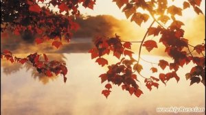 ОСЕНЬ РАСКРАСАВИЦА - детская песня