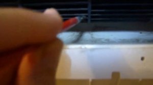 Как помыть вентилятор кондиционера НЕ РАЗБИРАЯ КОНДИЦИОНЕР