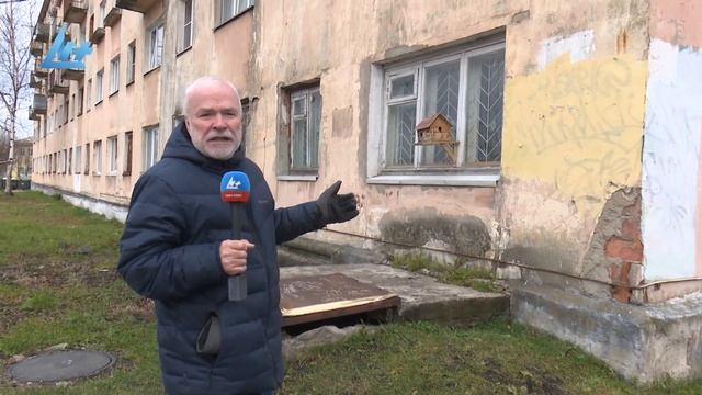В Петрозаводске скворечники прибивают на оконные рамы смотреть онлайн