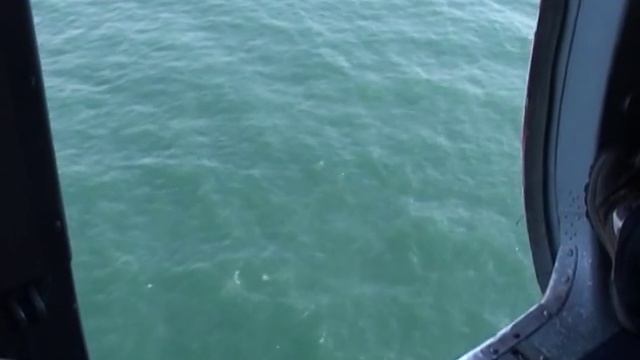 Обитатели Каспийского моря смотреть онлайн