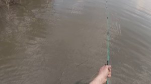 Рыбалка. Сети в Сибирской тайге. Проверяем морду