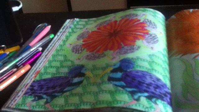 Раскраска ,,Райские птицы" закончена смотреть онлайн