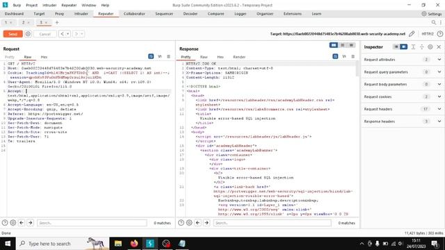 Visible error-based sql injection || @micinKampus смотреть онлайн