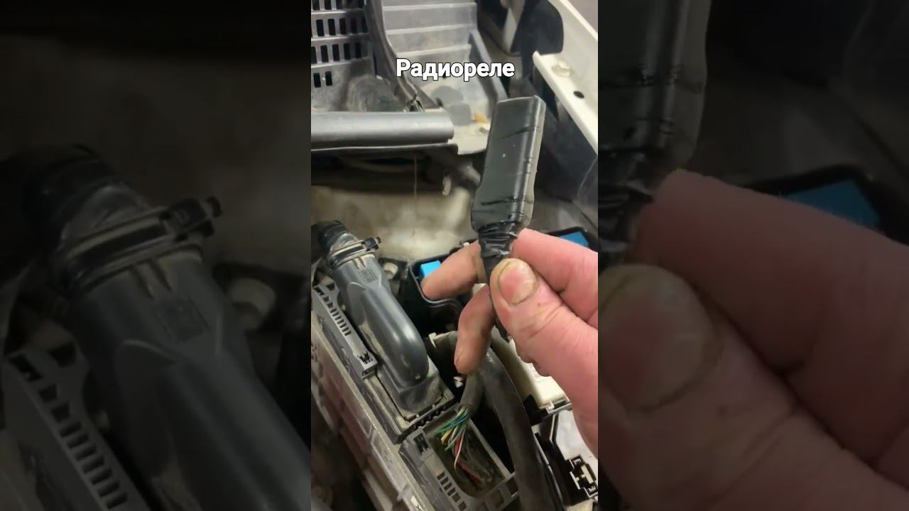 Кривая сигнализация #приус #тойота #lexus #аква #сигнализация смотреть онлайн