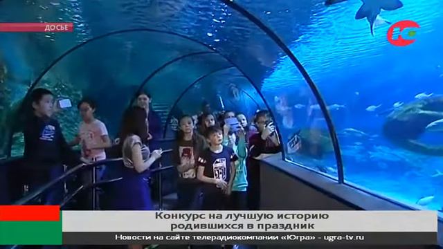 Югорчане могут получить призы за рассказы про родившихся в Новый год или Рождество смотреть онлайн