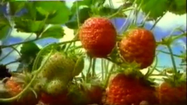 Что такое вода? - энциклопедия для детей смотреть онлайн