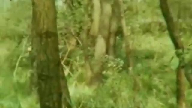 Простите, навеяло что-то в воспоминания окунуться о Человеческом времени смотреть онлайн