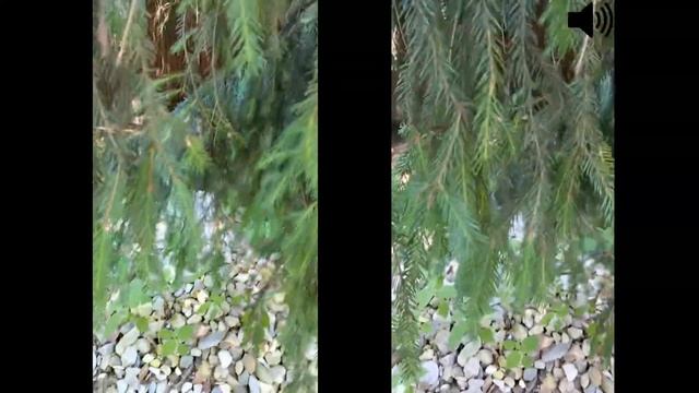 ПЕРВЫЙ ОБЗОР TCL 20L И TCL 20L+ | ТА САМАЯ ЗОЛОТАЯ СЕРЕДИНА?!