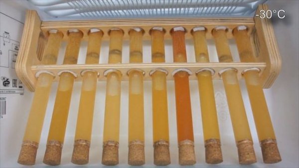 Olej 5W40 C3 Test Zimna -30°C Motul, Castrol, Fuchs, GM, Eneos, Neste, Petronas, Yacco