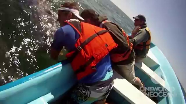 Удивительный кит знакомится с людьми смотреть онлайн