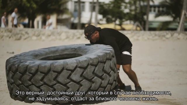Немецкий ягдтерьер смотреть онлайн