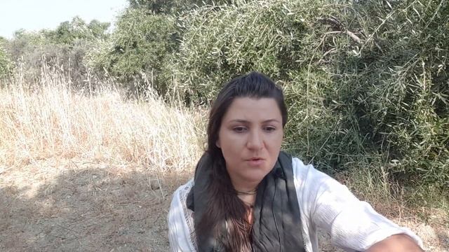 Что не едят кришнаиты?