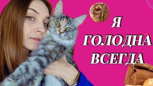 ЧЕМ КОРМИТЬ МЕЙН-КУНА, ЧТОБЫ ОН НАЕЛСЯ (И НЕ ТОЛЬКО МЕЙН-КУНА)??? #МЕЙНКУН #мейнкун #котики #cats