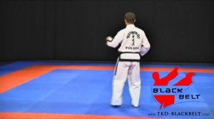 WON - HYO by Jaroslaw Suska - www.tkd-blackbelt.com