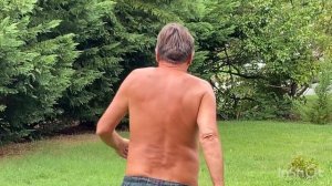 Николаевские голуби