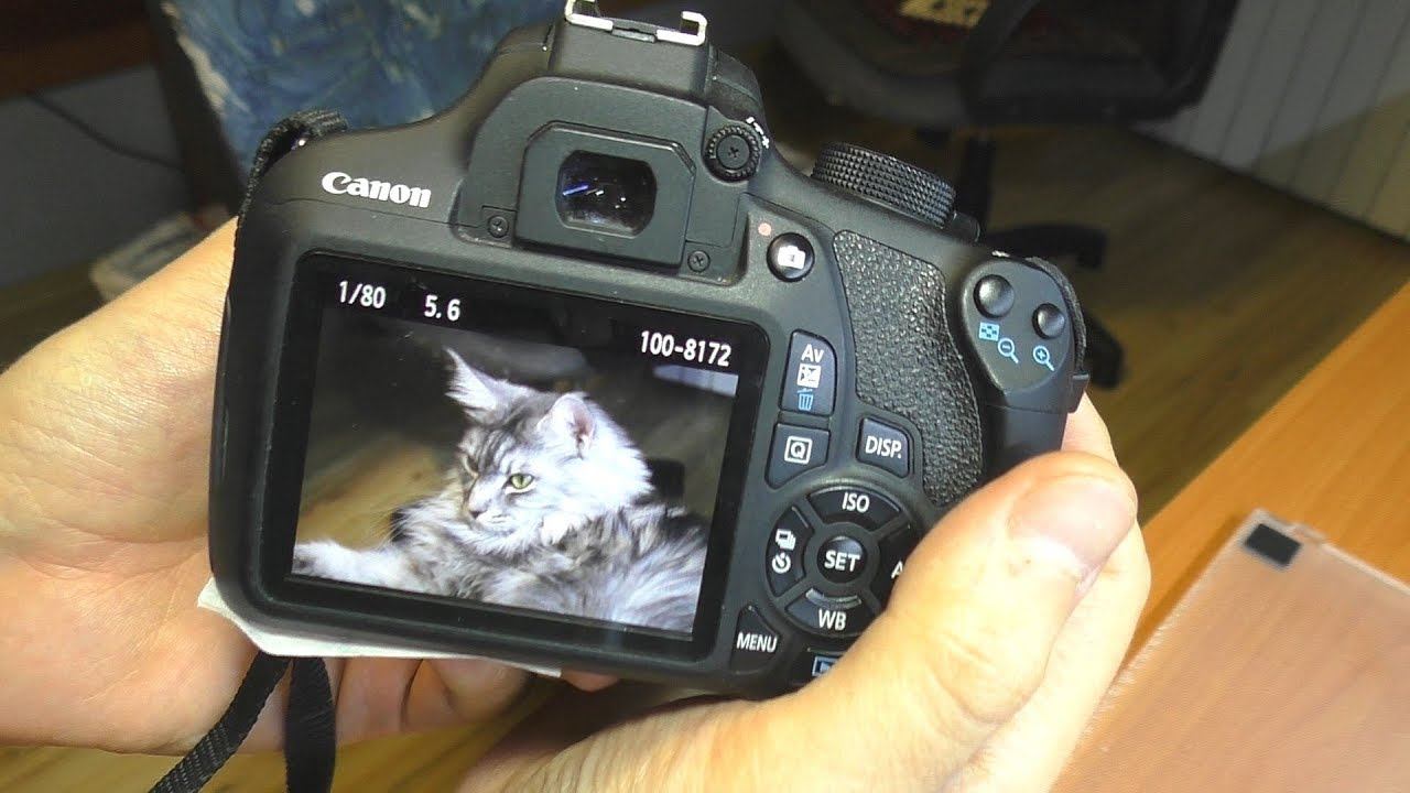Не работает автофокус / Не фокусируется зеркалка Canon 1200D смотреть онлайн