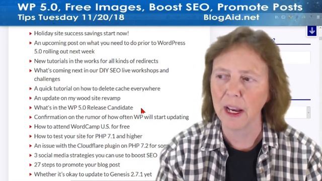 WordPress 5.0, Free Images, Boost SEO, Promote Your Posts - Tips Tuesday recap 11/20/18 смотреть онлайн