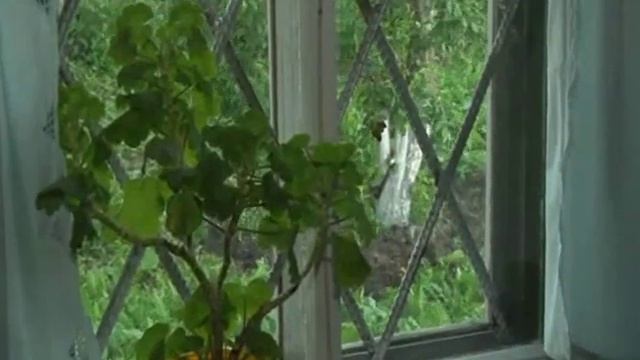 Быстрый Исток родина Валерия Золотухина смотреть онлайн