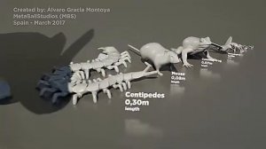 Сравнение размеров животных