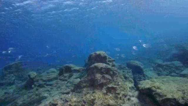 04-12-2012 DIVING IN CYPRUS, TRY DIVERS DIVING AT RANGERS BAY WITH VIKING DIVERS CENTER смотреть онлайн