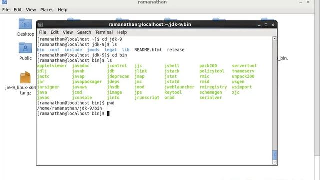 How to install Java 9 from Zip Distribution in RedHat Linux 6 смотреть онлайн